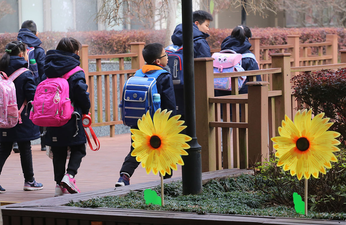 武昌实验小学入学条件：详细解析与入学考试指南
