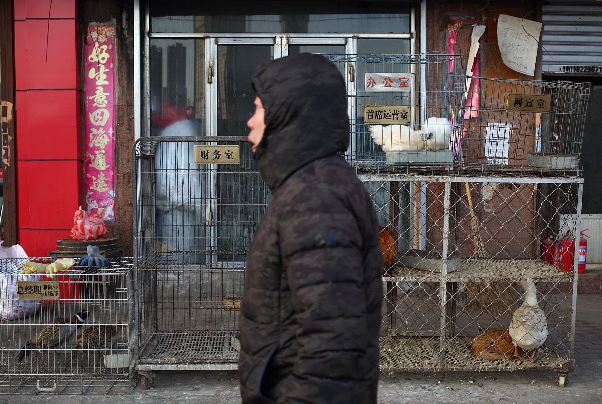 泰山禽业科技学校2019年招生专业有哪些？