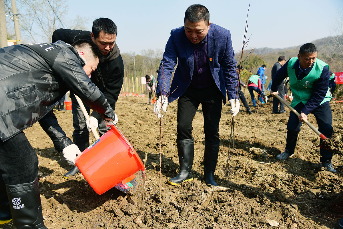 请先阅读以下活动设计《稻草焚烧的利与弊》活动设计XX镇中心小学六年级综合实践活动小组一、活动主题：稻草焚烧的利与弊二、适用年级：五、六年级三、设计意图每到丰收时节田野里铺满了脱了粒的稻草农民伯伯大多放一把火烧了。那时稻田里是浓烟翻滚似有龙卷风来的前兆。四周的天空一片阴暗呛得人直咳嗽。真搞不懂为什么要这么烧掉呢？那么浓的烟对环境肯定是一种污染。难道它们没有利用的价值了吗？还是这样焚烧后对土壤是有益的