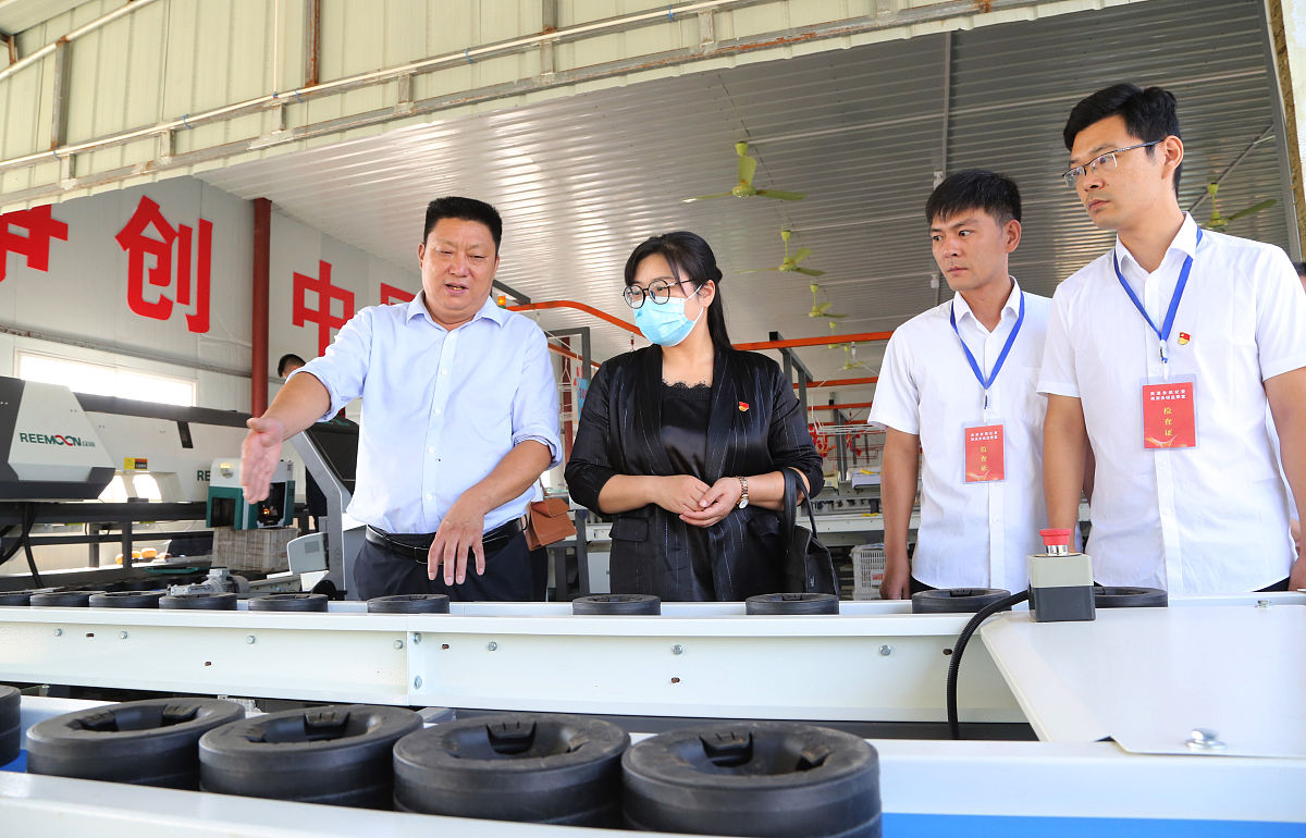 因果取向如何影响个人效能和心理健康