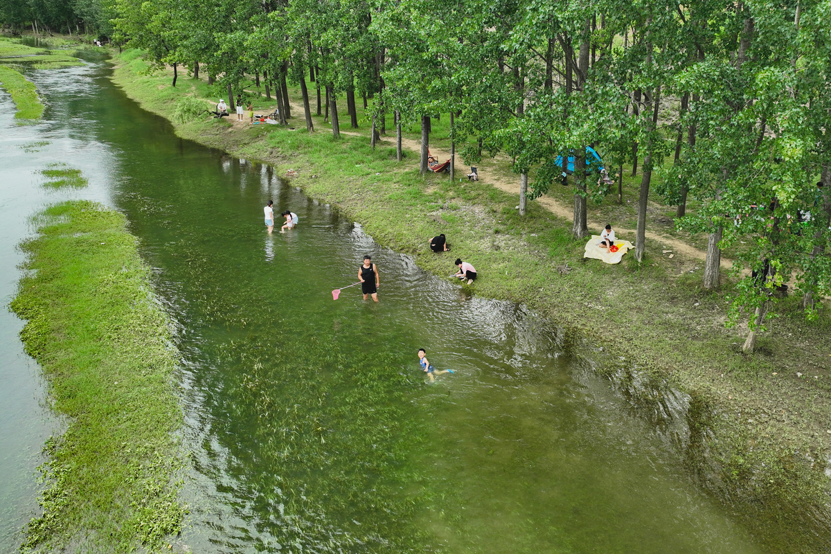 河小青活动项目：保护、调查、教育、治理、文化、娱乐