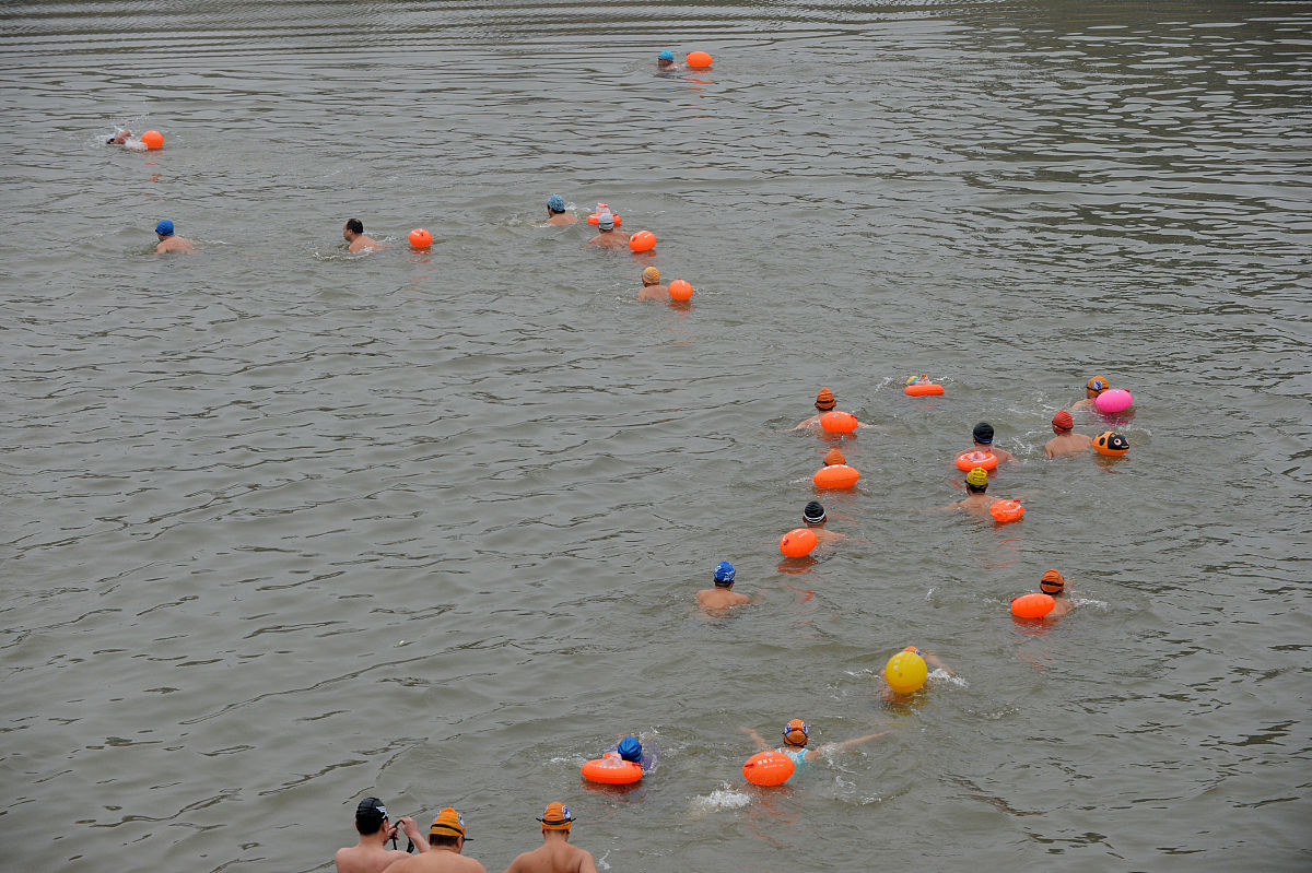 写一篇人与自然如何和谐共处的文章