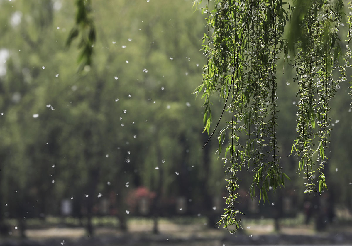 做一个藏头诗藏头内容淳杰
