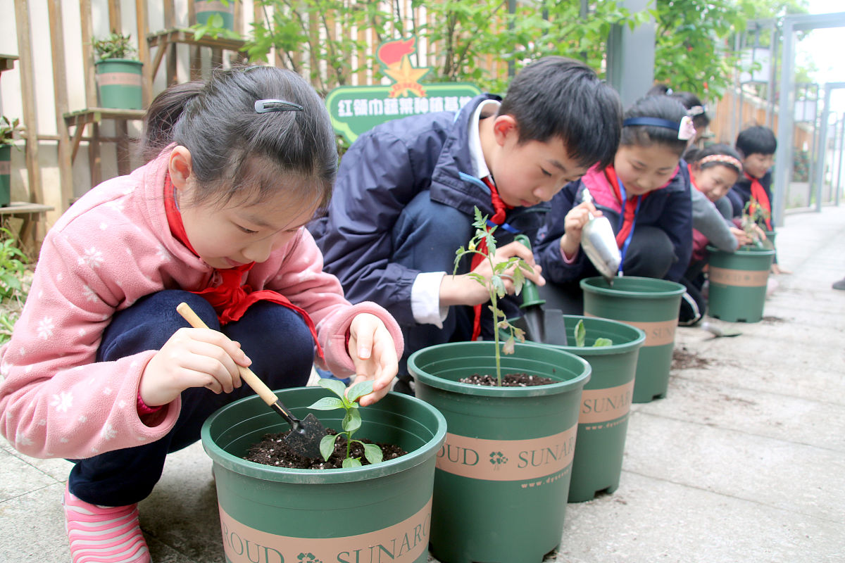 红河州农业学校畜禽生产与疾病防治专业招生 - 培养畜禽养殖行业高素质人才