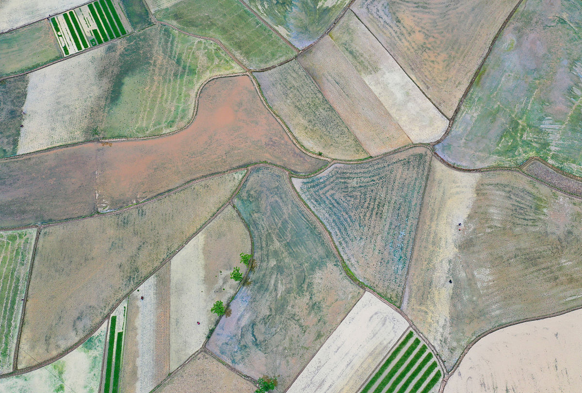 四川职业学院排名 来看看用发