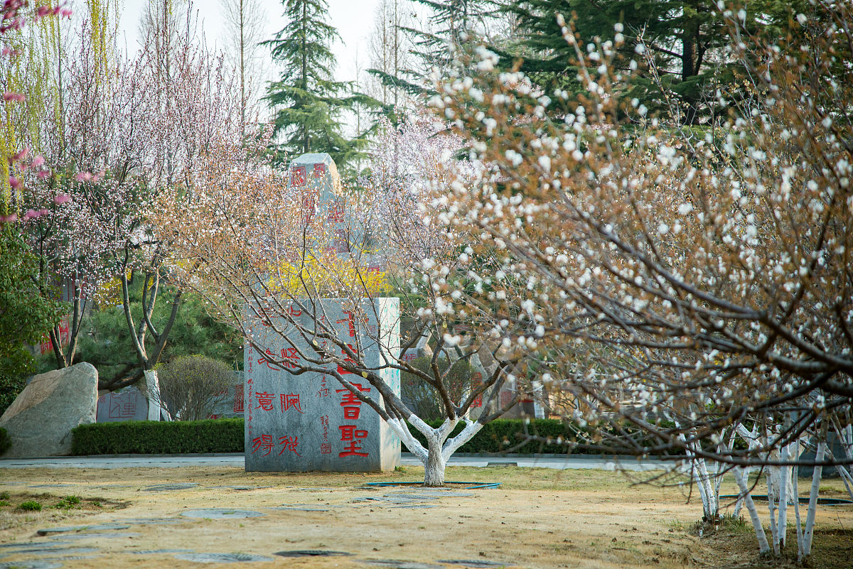 2022年3月23日,春日里的山东临沂书法广场,鸟语花香,生机盎然.
