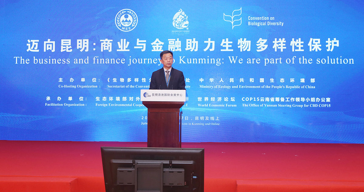 写一份泌尿外科医生年度会议报告3000字