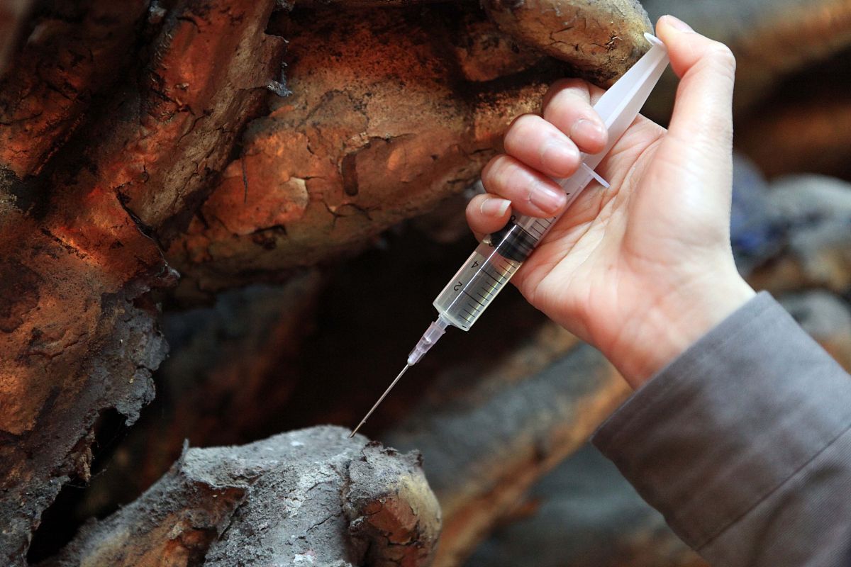 重庆大足幼师职业教育中心招生办电话：报名咨询热线