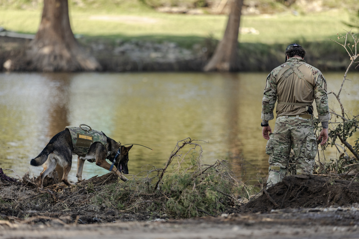 俄罗斯人真的能徒手打败黑熊吗？揭秘战斗民族与猛兽的真相