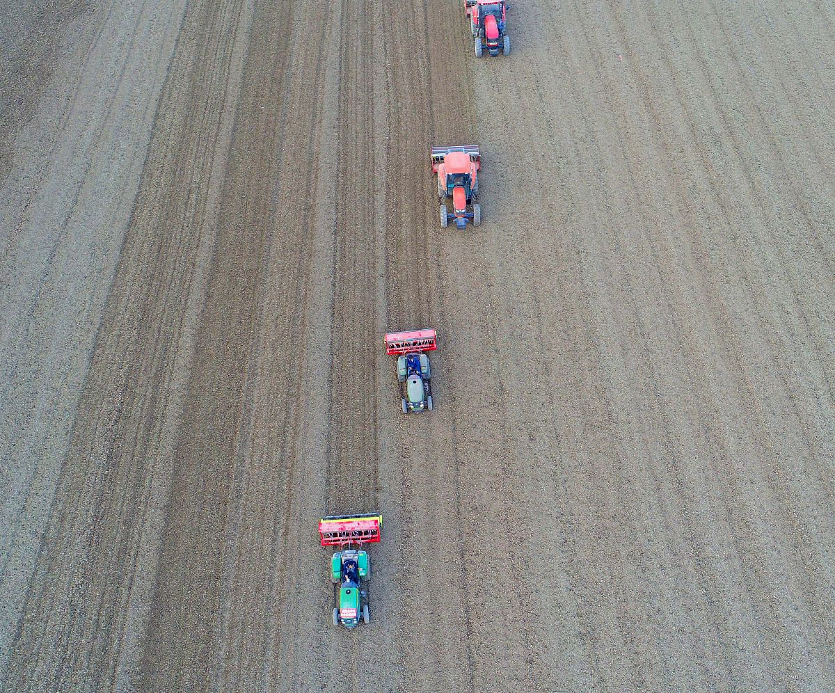 半社会主义合作社经济：定义、案例与特征