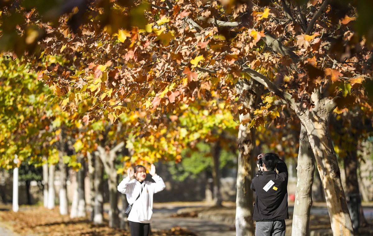 云南科技信息职业学院药剂专业招生就业岗位都有哪些