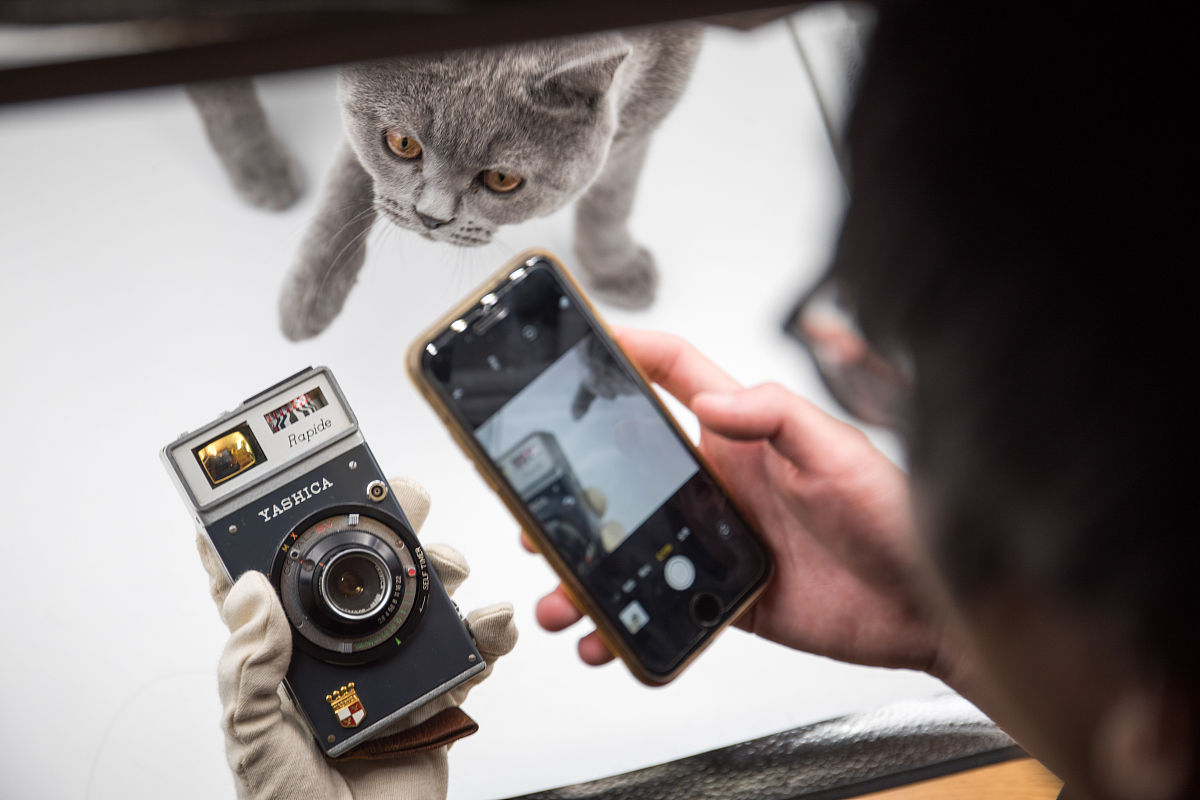 写一个关于小人物的故事