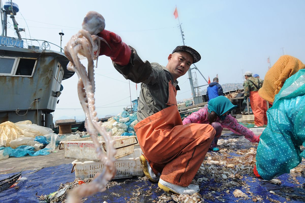 青岛崂山区第一中学2022年专业设置：理科、文科、艺术等多个领域