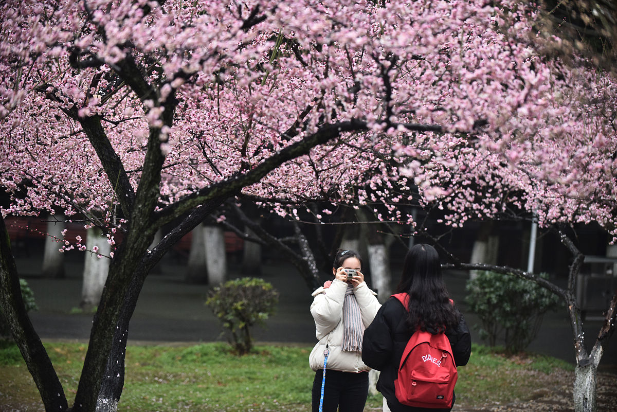 贵阳市幼儿师范学校3+2年制大专招生要求及简介