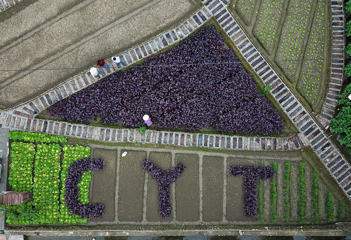 成都大专和中专哪个好？2023年最新选择指南