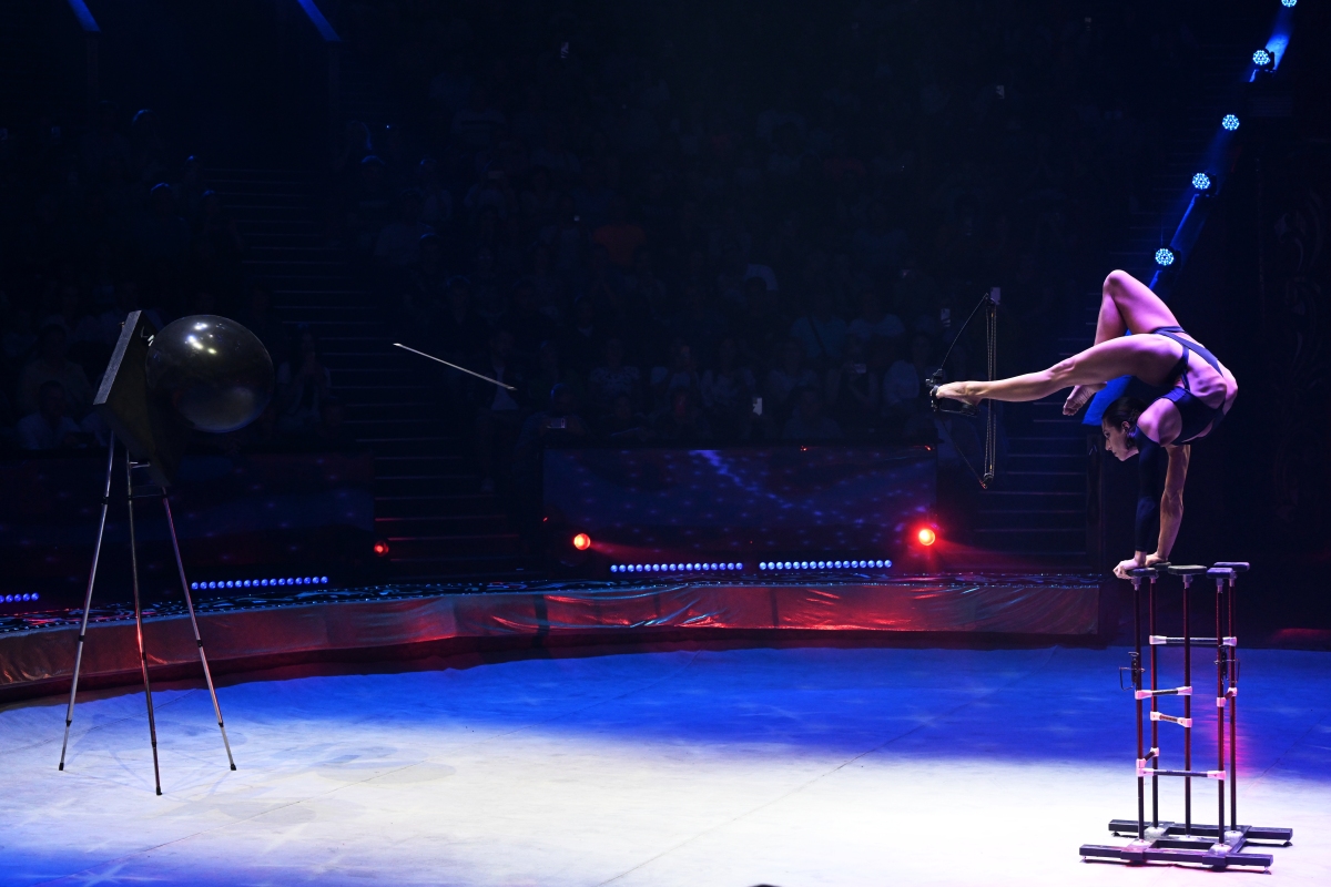 生命之光，黯然熄灭：杂技演员坠亡事件反思