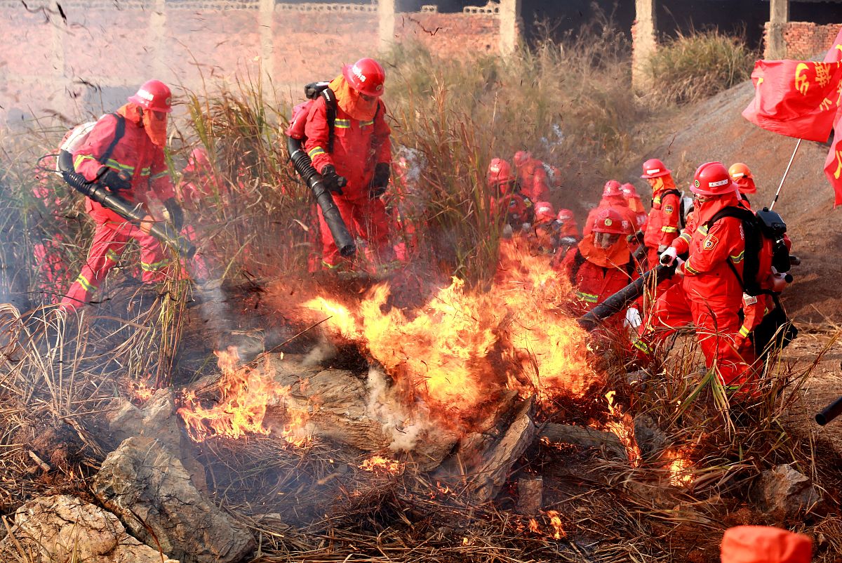 内蒙古政府应对突发事件的案例