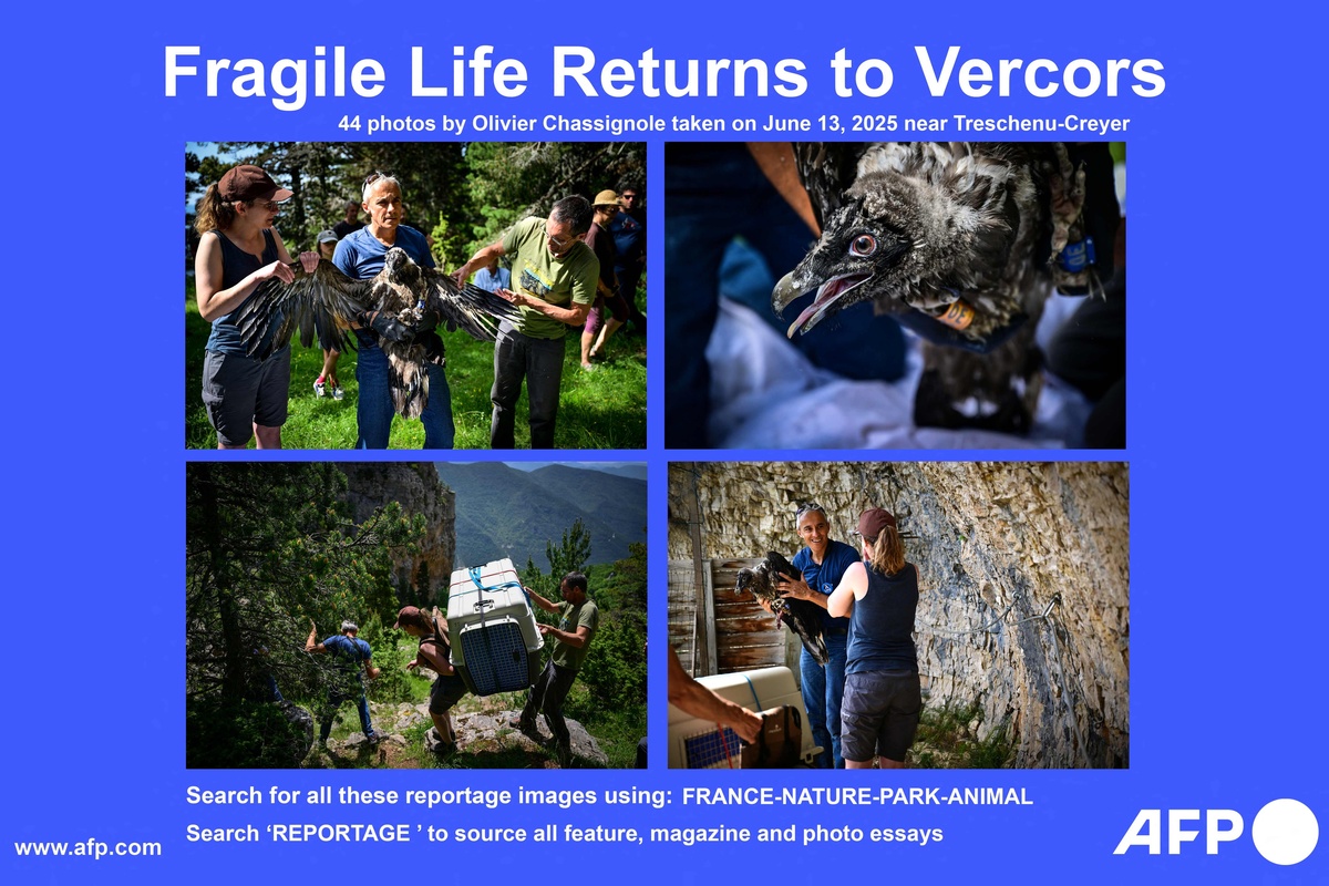 Clash: Definition, Meaning & Examples