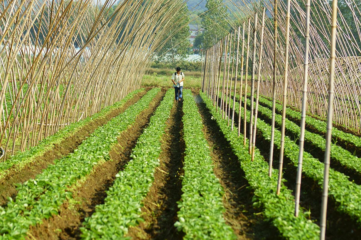 重庆市农业学校休闲农业生产与经营专业优势怎么样发展前景好不好呢
