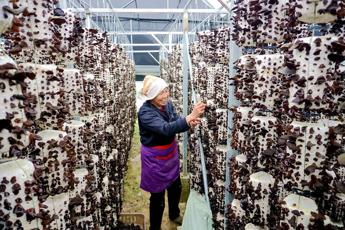 贵州2022年中专好还是高中好