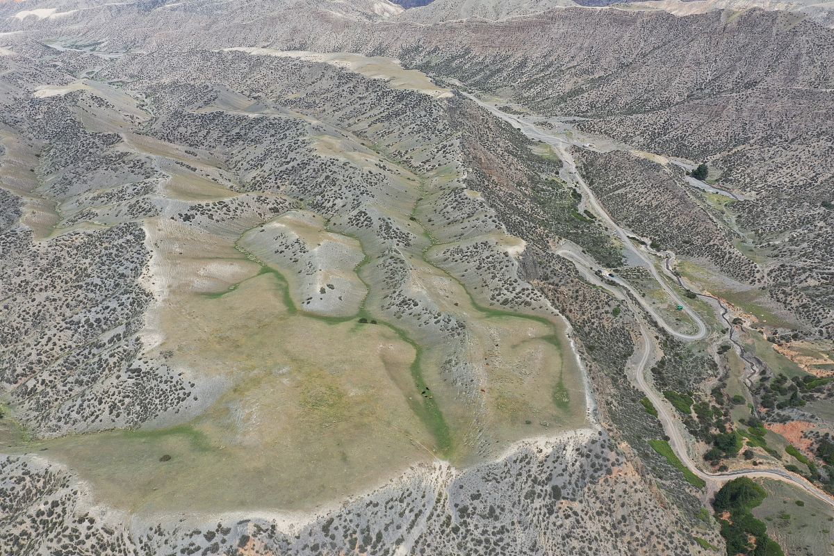 LAND DEGRADATION & DEVELOPMENT 期刊：土地科学研究者的首选平台