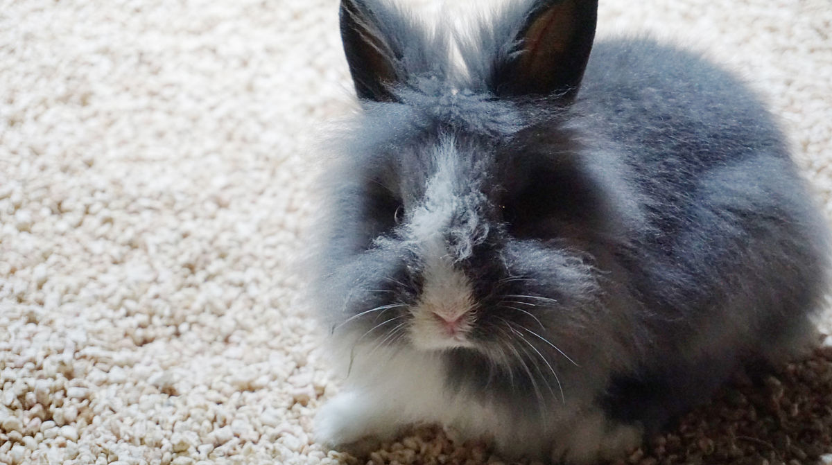 江苏2023年上什么中专学校最好-怎么样