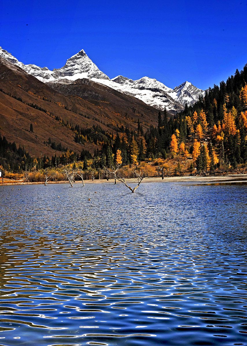 四川国际标榜职业学院中医养生保健专业招生就业岗位都有哪些