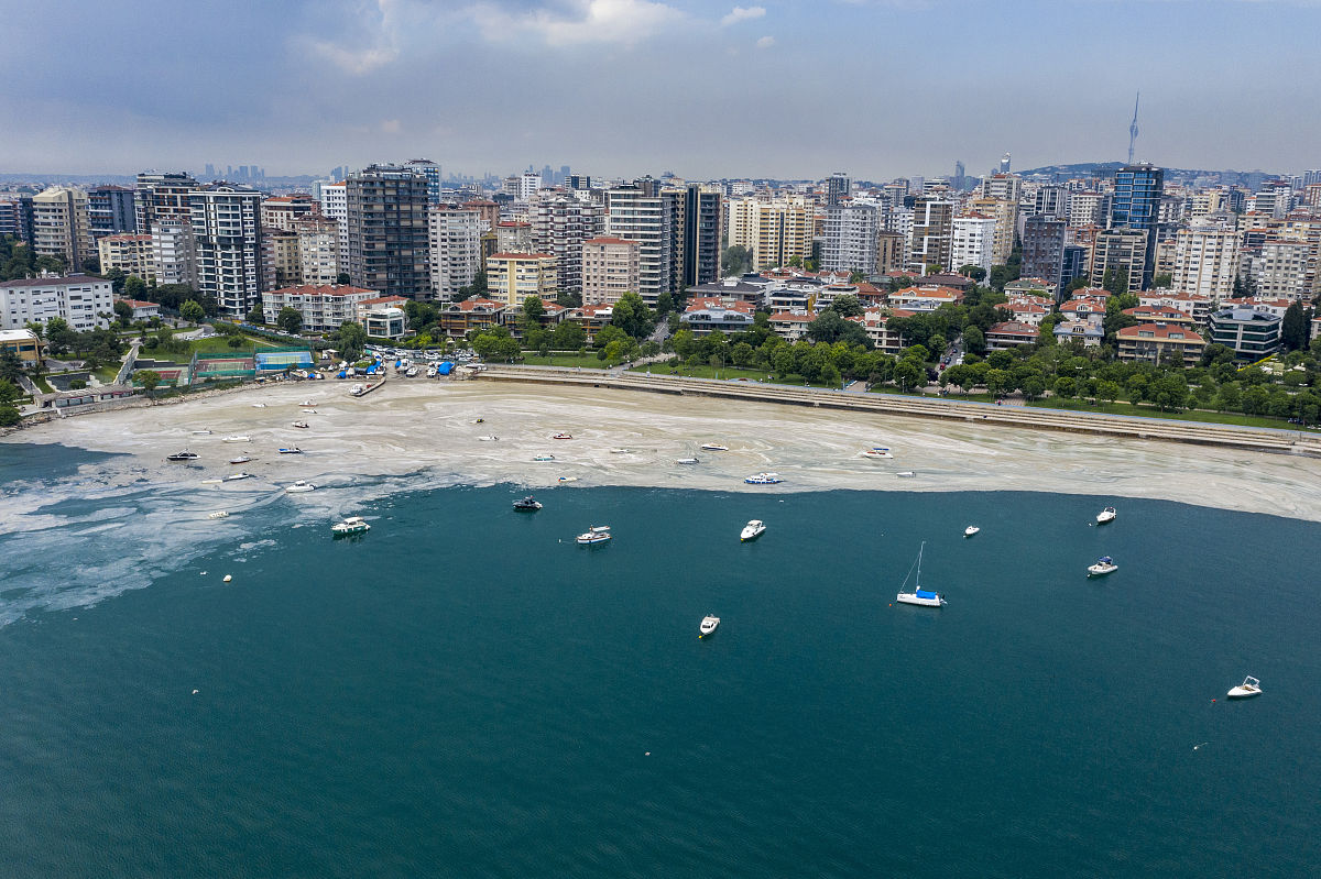 当地时间2021年6月7日,土耳其伊斯坦布尔,马尔马拉海沿岸"海鼻涕"肆虐