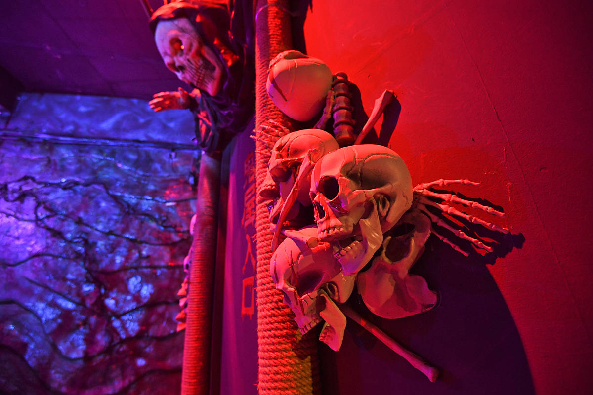 宝宝们你们胆量怎么样主播接下来给你们带来的是有点刺激的项目哦鬼屋有没有去宝宝去体验过的可以扣1今天给到大家的只需要29元。优化扩充上面这段话。