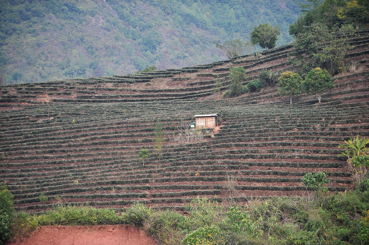 云南农业专业学校2019年五年制高职专业计划