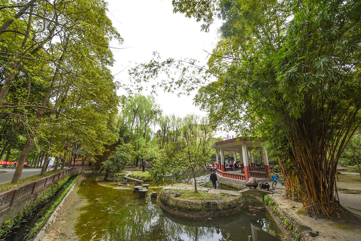 成都学前教育专业大学推荐：四川大学、成都师范学院等