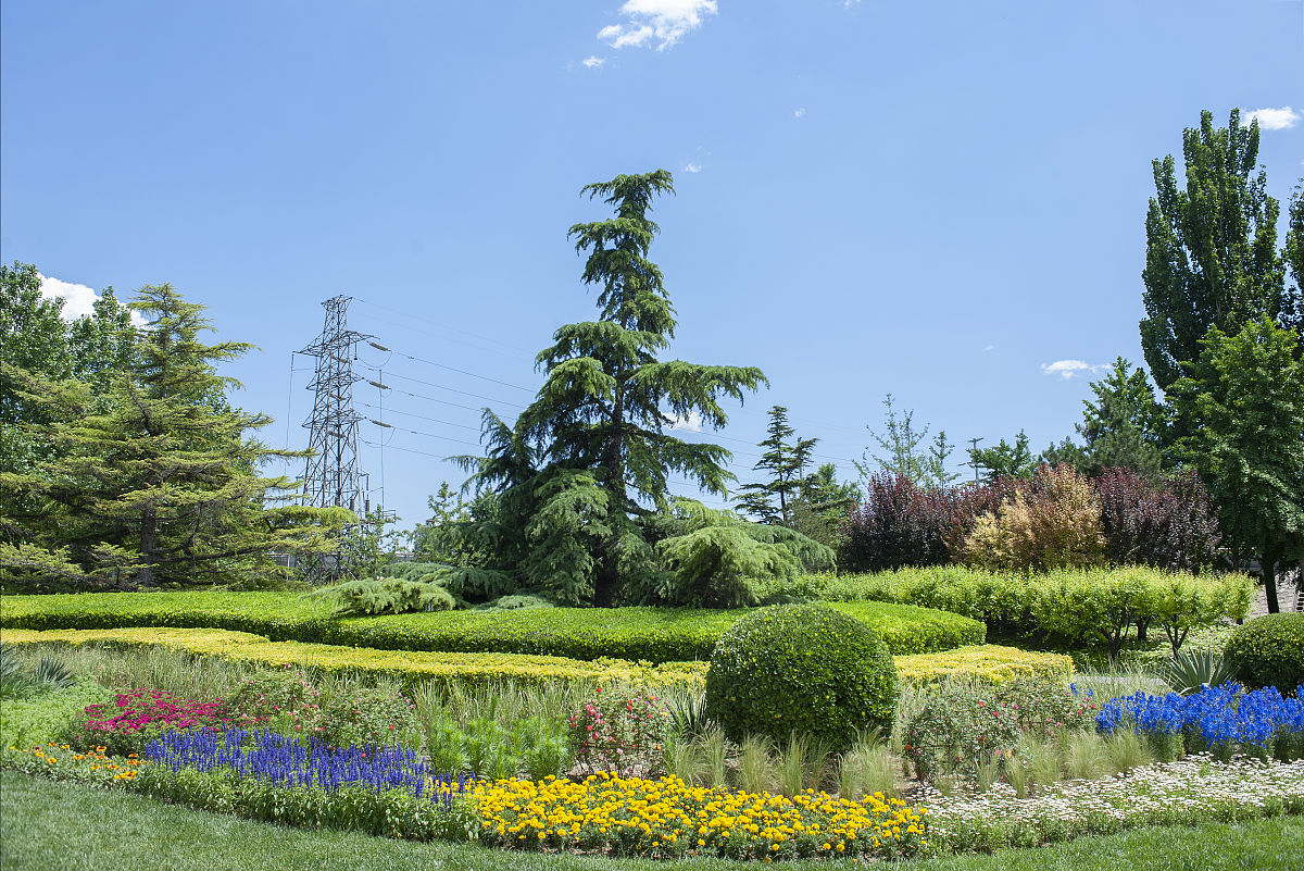 写一篇西安东三环绿化的基本情况简介。