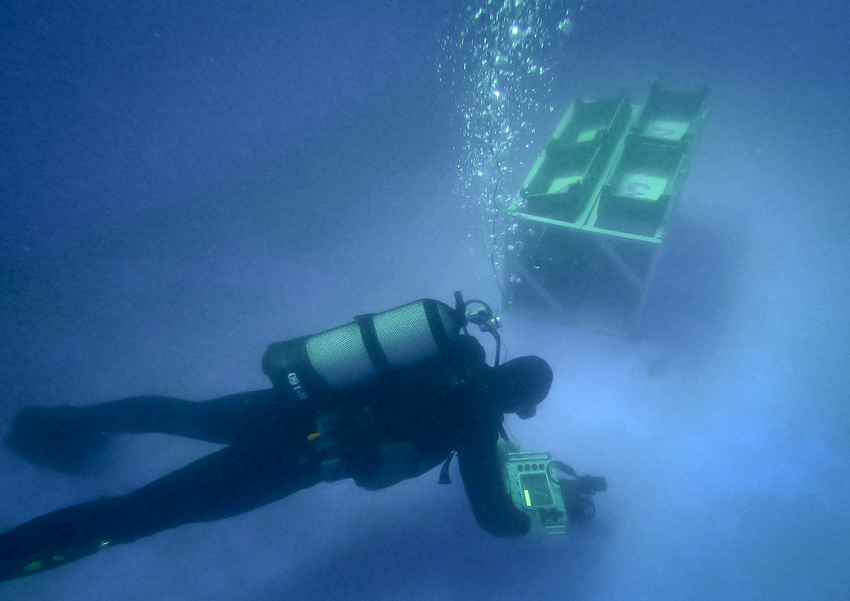 ICES Journal of Marine Science: 探索海洋科学的深度