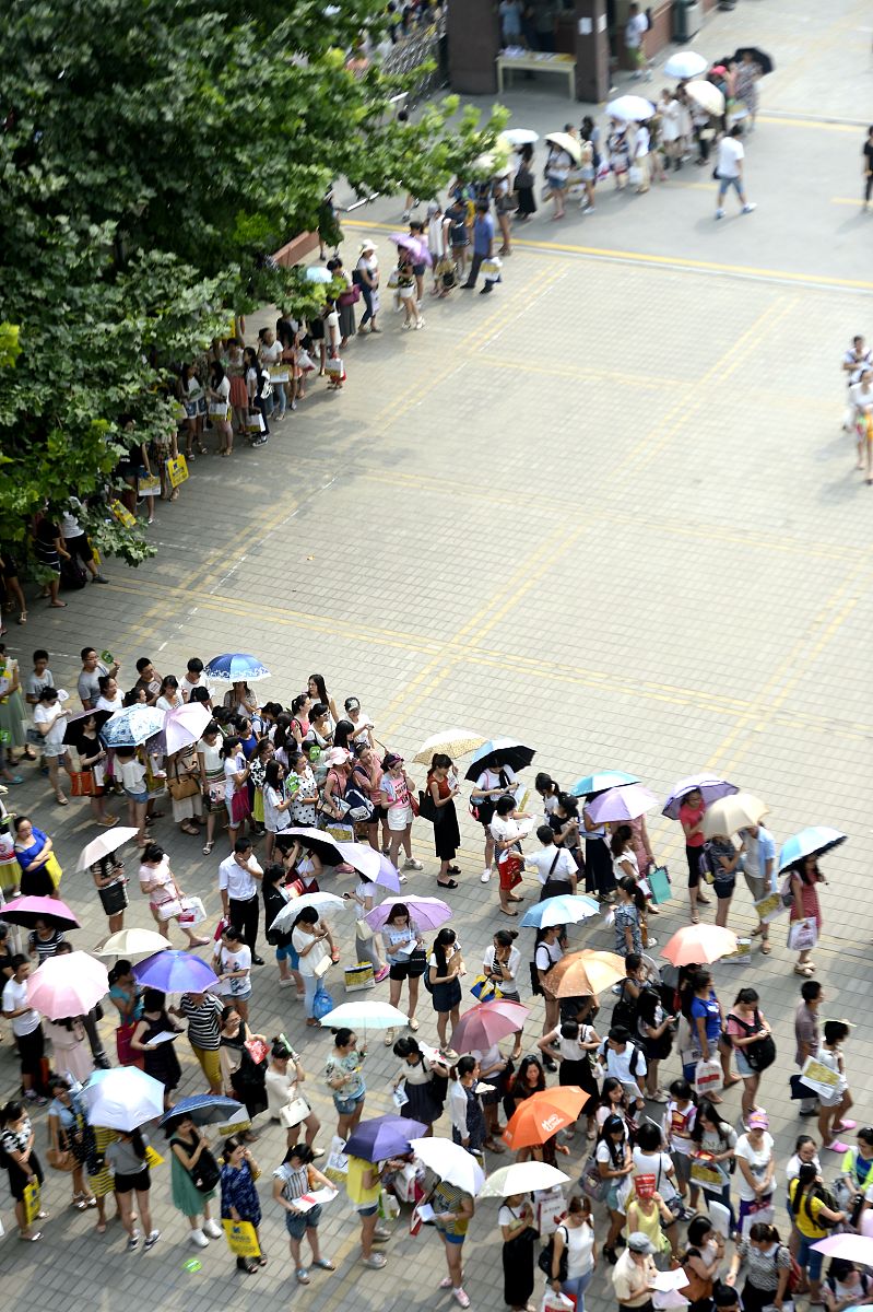 重庆小学教育专业招聘要求：条件解析及发展建议