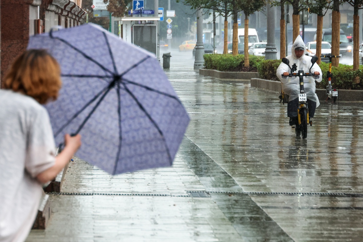 风雨交加的场景描写：300字以上描绘风雨中的力量与感动