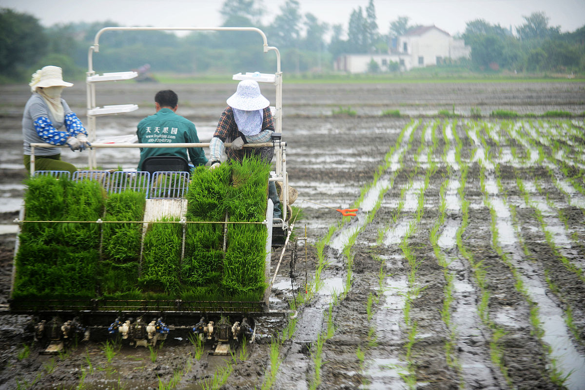 详细分析农业节水增产农艺技术中的耙耱保墒农艺技术
