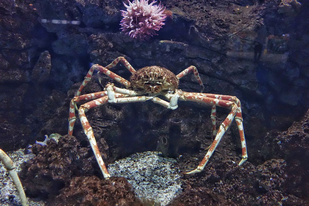 成都市工业职业技术学校2019年招生专业简介