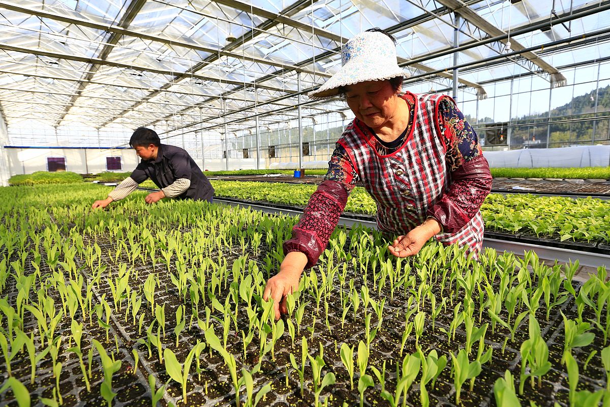 四川2022年去汽修学校学什么专业好