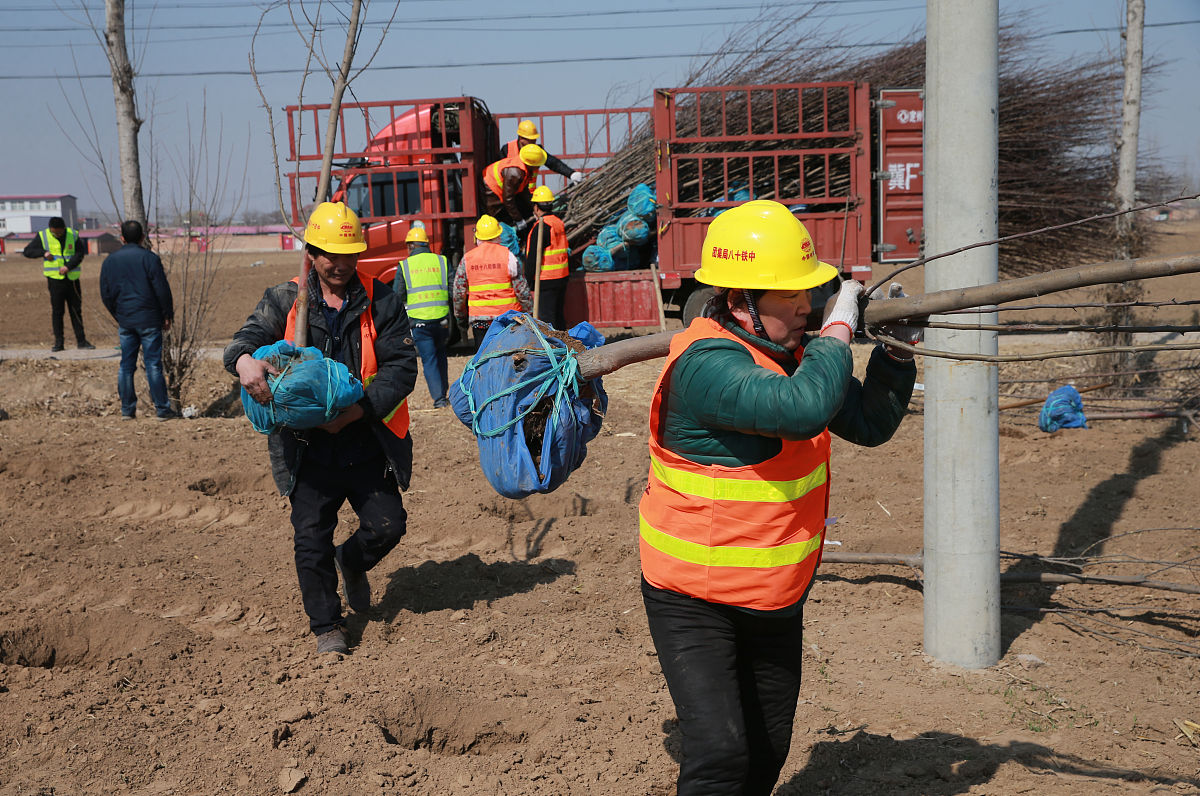 2安塞区农村电力网络管理现状	321电力线路维护和修复情况	322电力设备管理和更新状况	323电力网络安全管理情况	43安塞区农村电力网络管理存在的问题	431基础设施建设不完善	4311电力供应不稳定	4312电网老化和容量不足	432管理体制不健全	5321缺乏专业化管理人员	5322 缺乏有效的动态巡查机制	533 安全用电宣传不足	64安塞区农村电力网络管理问题的对策	641强化农村电力