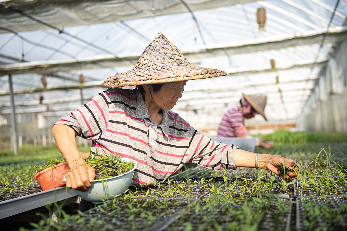 武夷山机电机械学校2022年招生简章