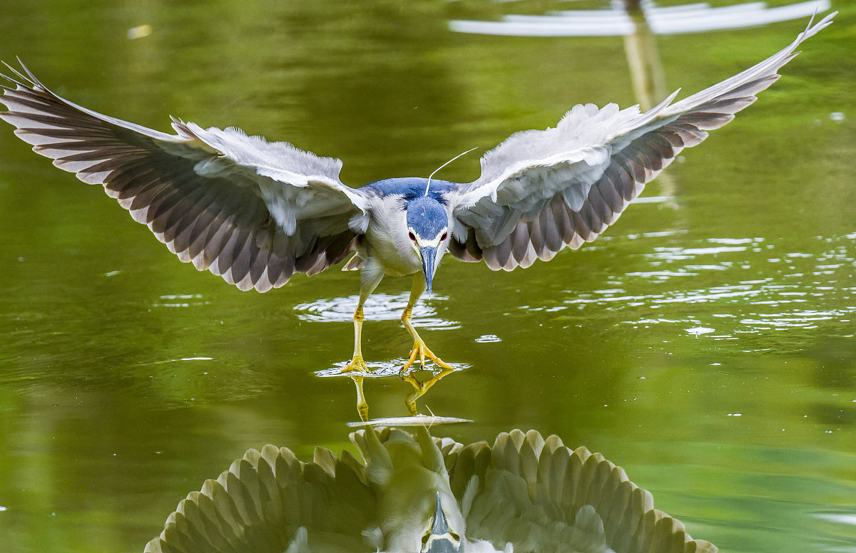 广西南宁小学2020年秋季开学时间及防疫措施