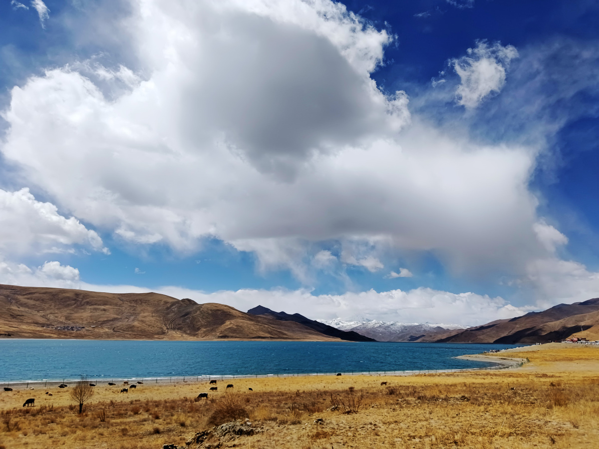 谁有好一点的西藏的风景照片，水流，高山，草原，雪山，蓝天白云，分享下呗？