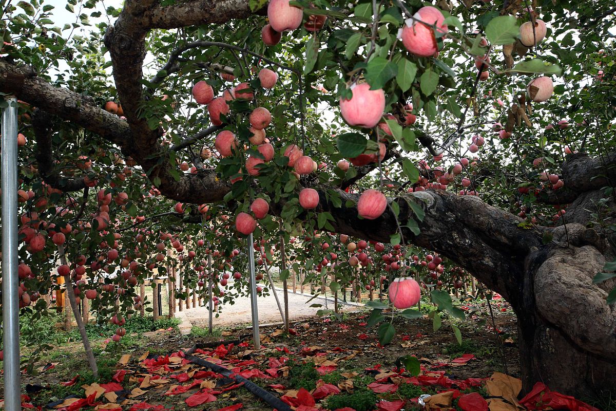 山东科技职业学院市场营销专业优势怎么样发展前景好不好呢