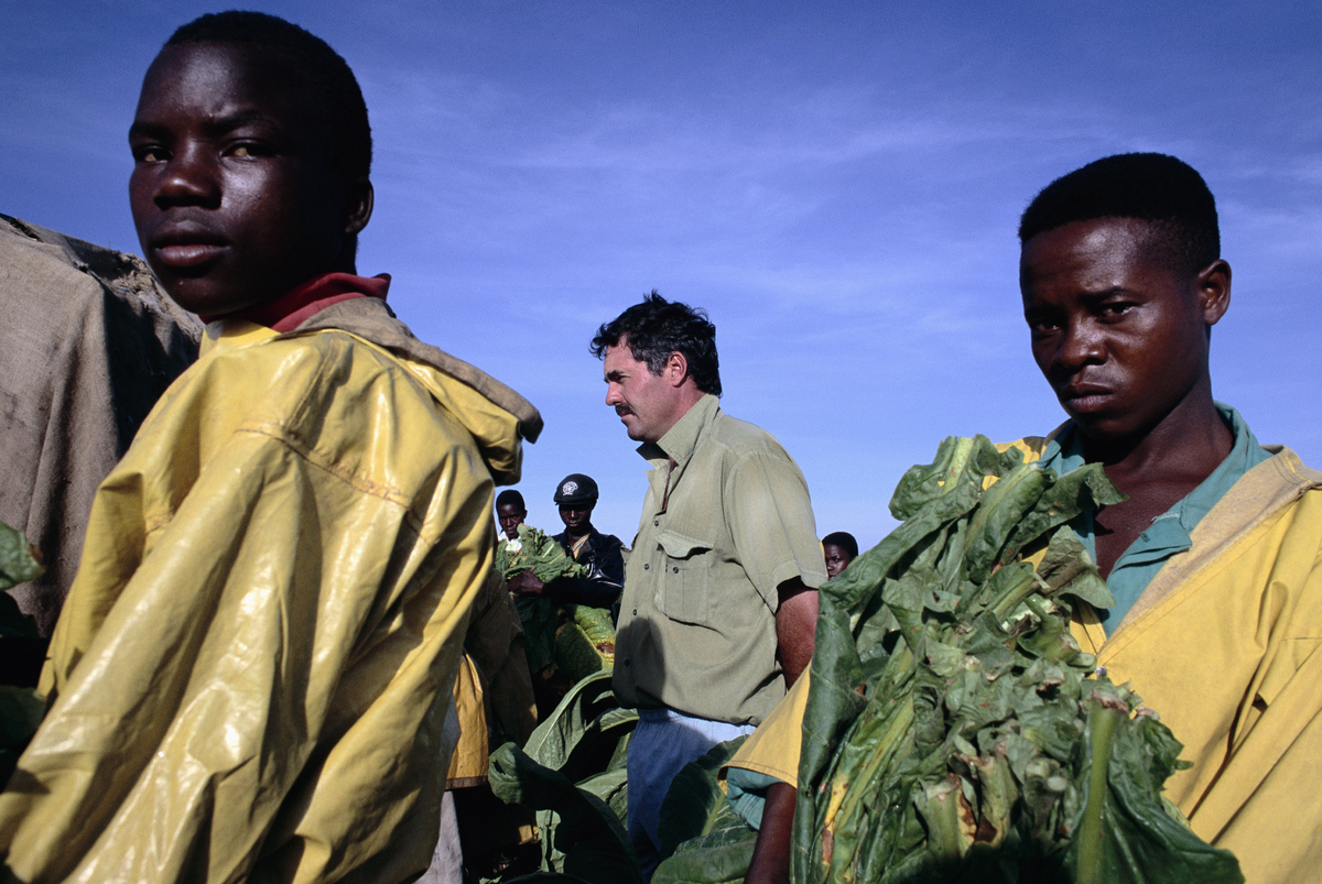 非洲艾滋病为什么那么多