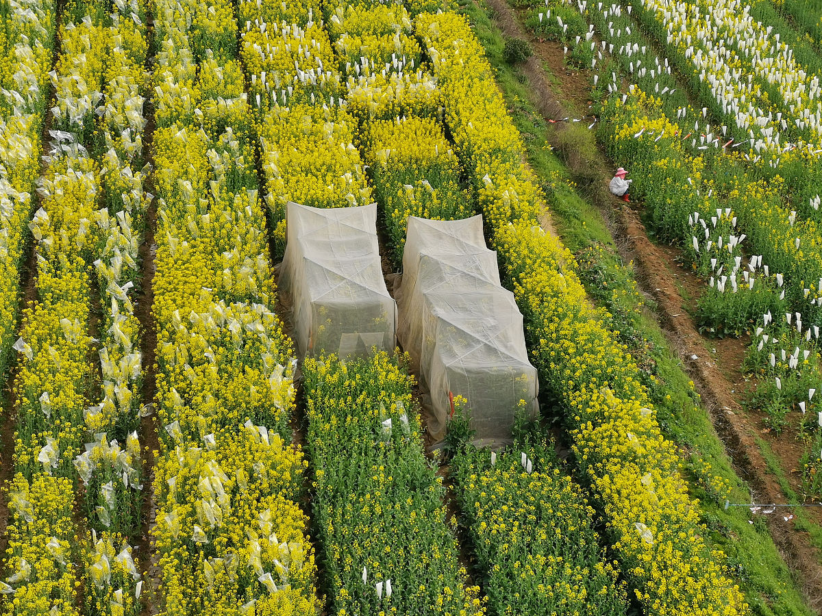 2019红河州农业学校办学条件