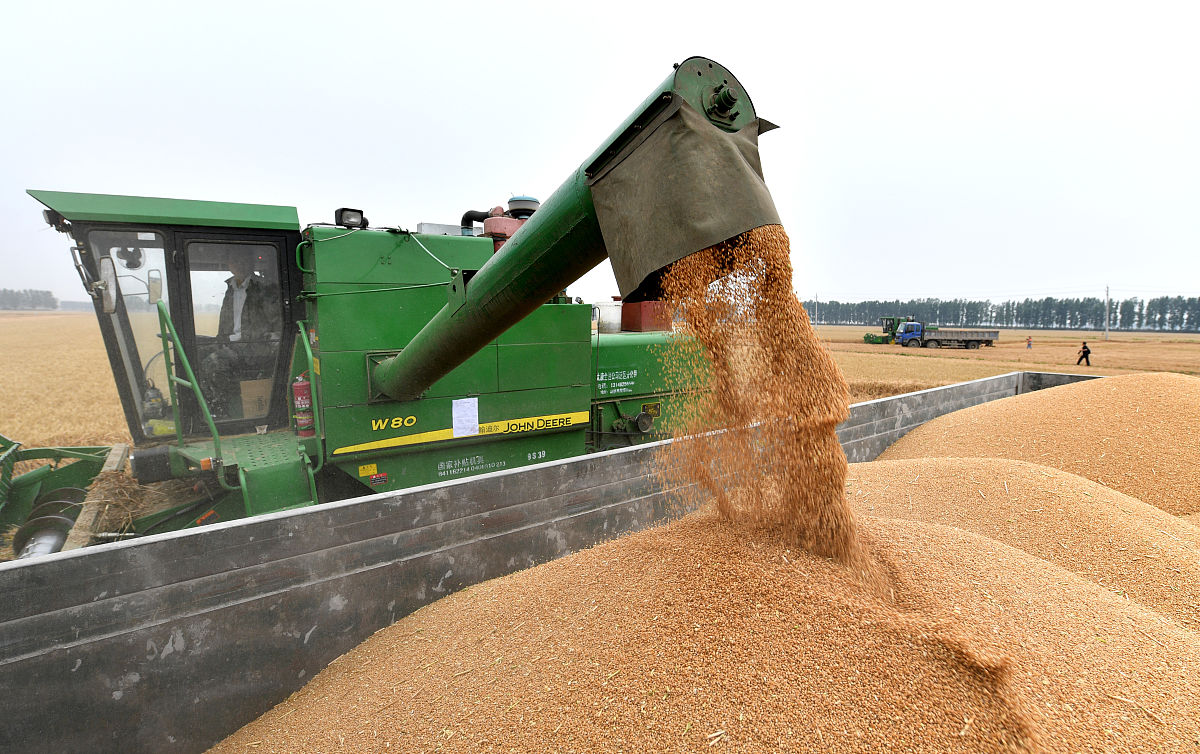 粮食加工行业发展现状及未来趋势