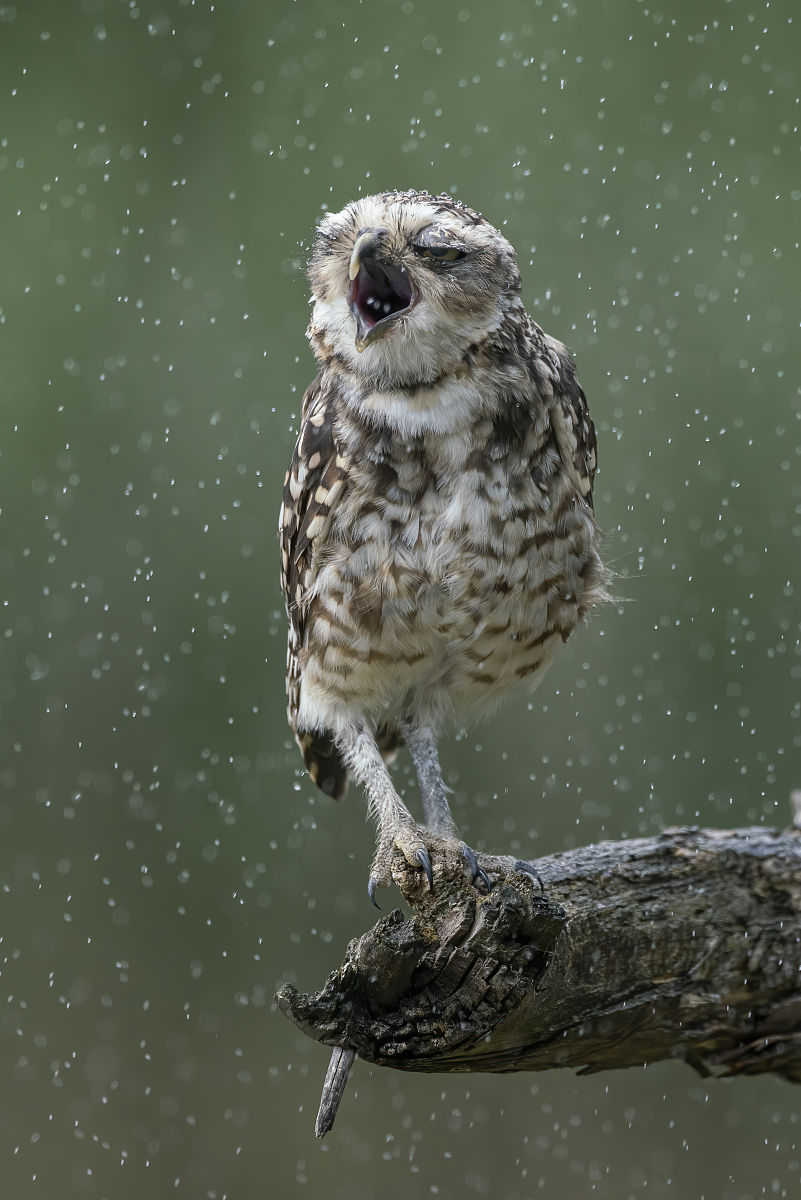 女朋友降温下雨温馨提醒：成熟话语，暖心呵护