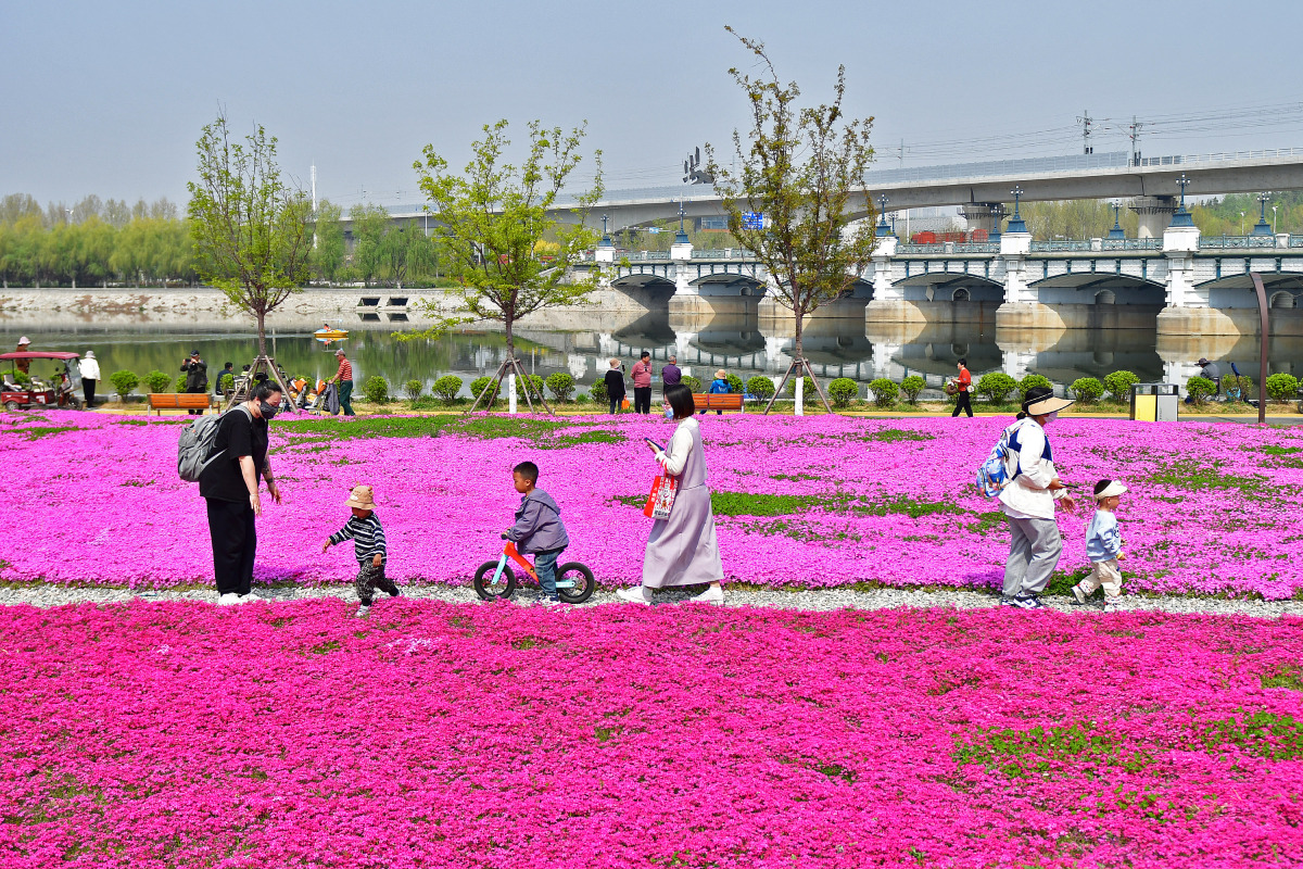 成都花世界旅游景点,成都花世界旅游景点图片