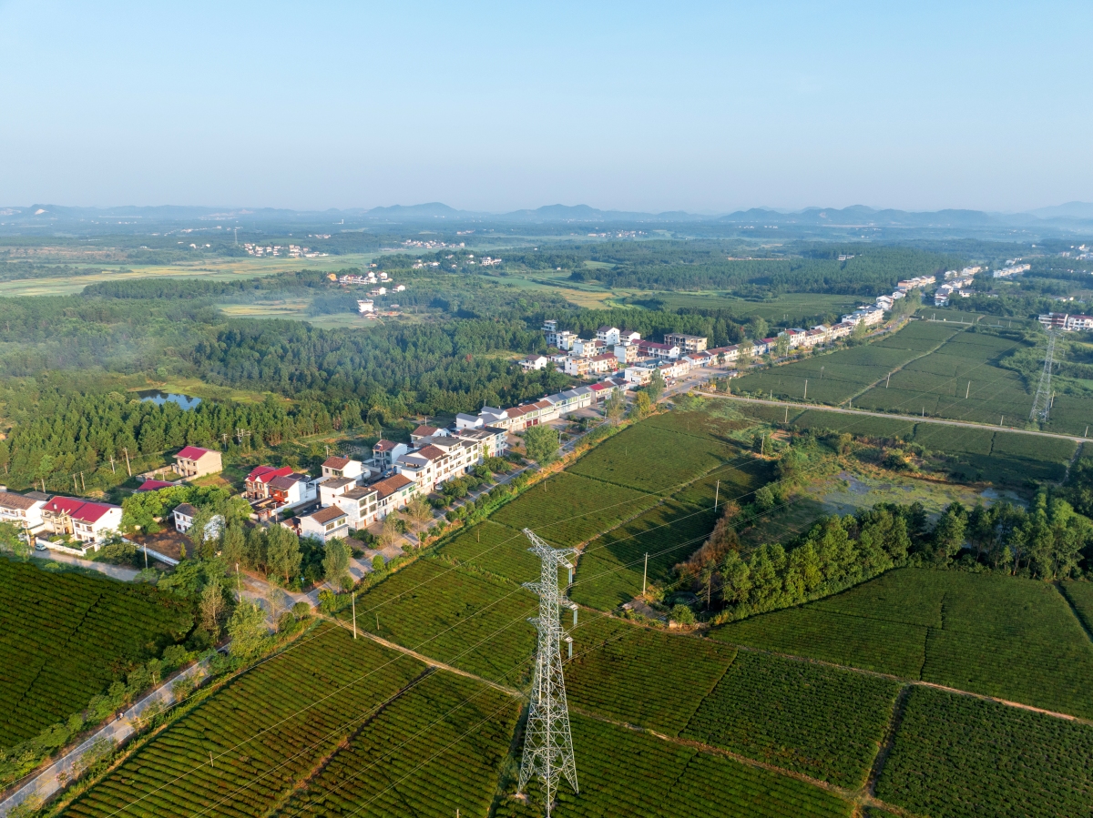 金溪县旅游景点大全,古村古韵,探寻赣东秘境