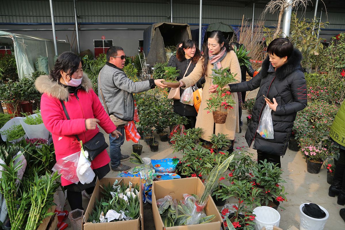 选择重庆职业学校中草药栽培技术专业怎么样？